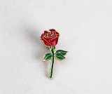 Ruža z Malého princa