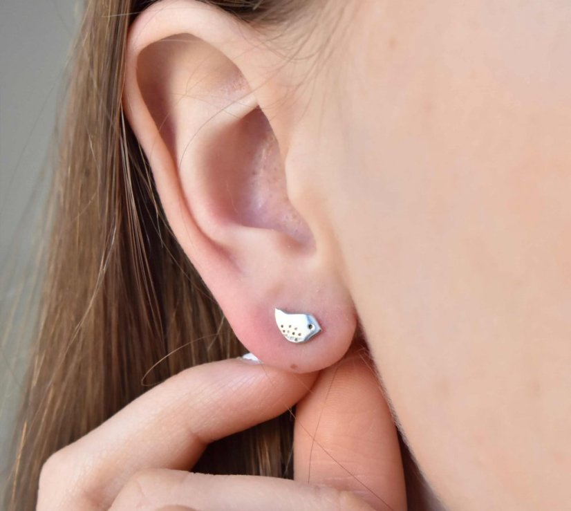 Nature - dámske strieborné puzetkové náušnice